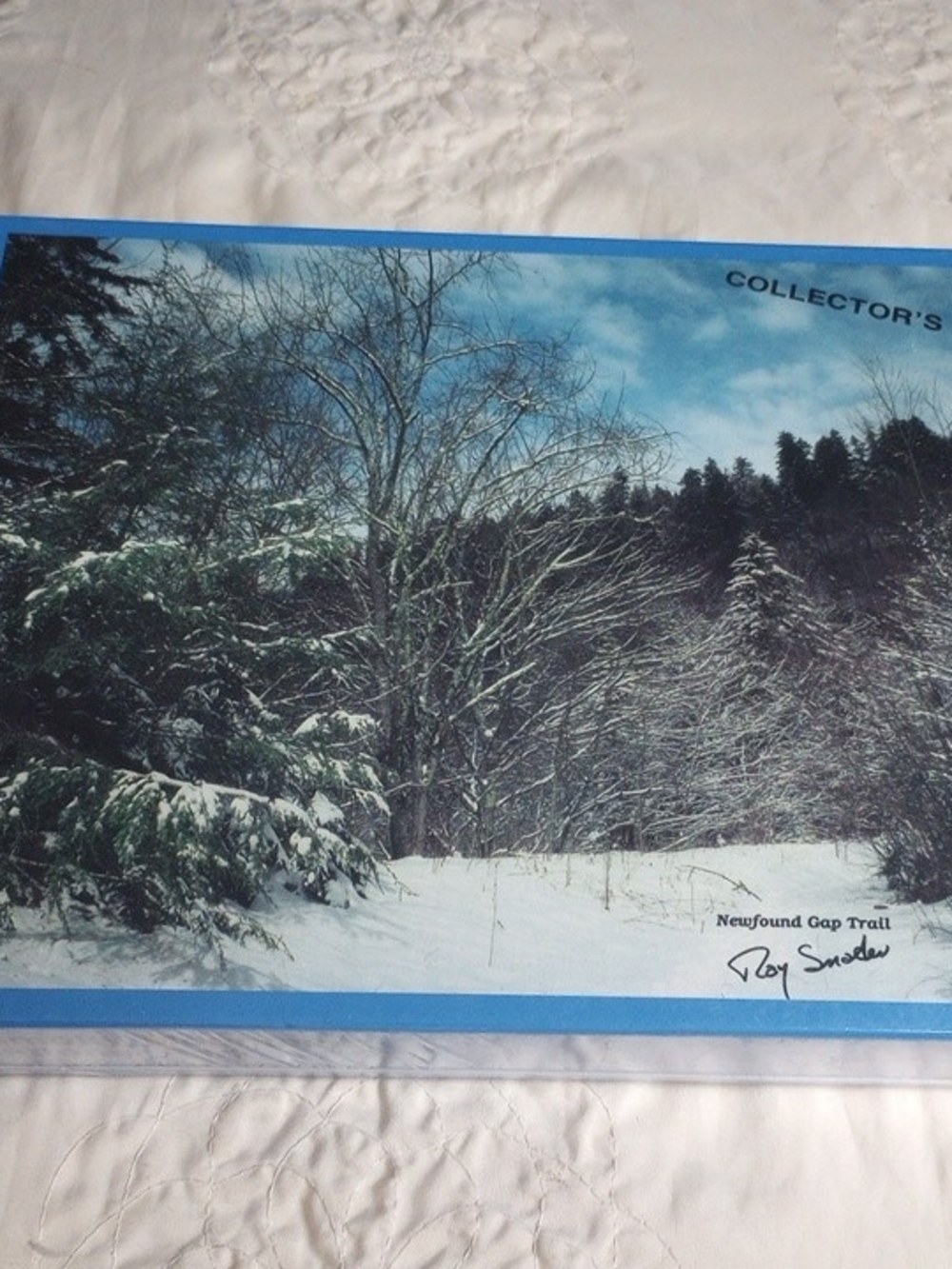 Blue Winter Landscape Puzzle - Kids Puzzles & Games